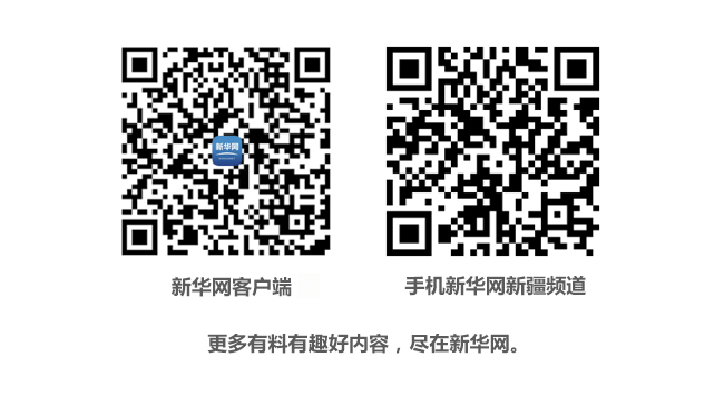新疆扩大小规模纳税人自行开具专用发票试点范围
